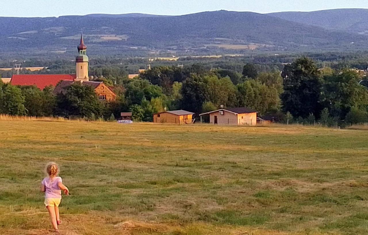 Domek W Gorach Izerskich 4 I 6 Osobowy, Agroturystyka, Zywe Zwierzeta, W Pelni Wyposazone, Plac Zabaw Dla Dzieci, Ognisko Z Kijkami I Rusztem, Ogrzewanie I Klimatyzacja, Latem Basen Mirsk Buitenkant foto