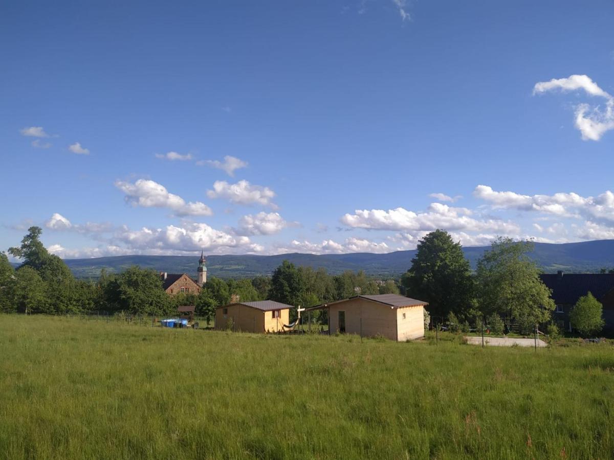 Domek W Gorach Izerskich 4 I 6 Osobowy, Agroturystyka, Zywe Zwierzeta, W Pelni Wyposazone, Plac Zabaw Dla Dzieci, Ognisko Z Kijkami I Rusztem, Ogrzewanie I Klimatyzacja, Latem Basen Mirsk Buitenkant foto