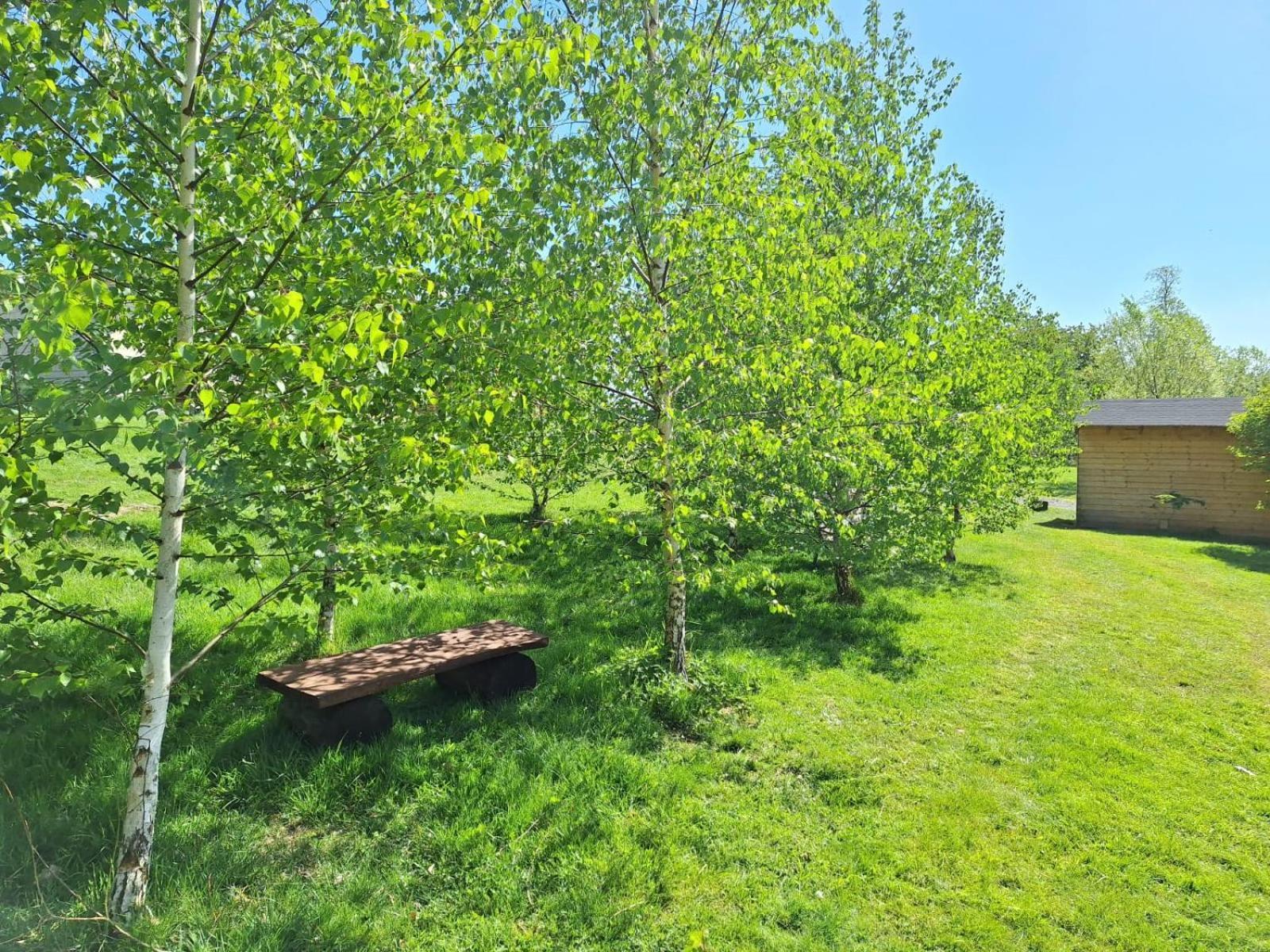 Domek W Gorach Izerskich 4 I 6 Osobowy, Agroturystyka, Zywe Zwierzeta, W Pelni Wyposazone, Plac Zabaw Dla Dzieci, Ognisko Z Kijkami I Rusztem, Ogrzewanie I Klimatyzacja, Latem Basen Mirsk Buitenkant foto